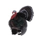 thumbnail image 4 of Juguete de Animal Hugo Grande de Plástico Pavo, 4 of 6