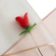 thumbnail image 5 of Paquete de 5 unidades de papel para envolver flores, con borde dorado, rosa, estilo coreano, semitransparente, para envolver ramos de floristería, 16 unidades, 5 of 5