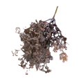 thumbnail image 4 of Flores artificiales Gardenne, ramos de plantas verdes simuladas de malezas - Tallo largo, malezas artificiales de plástico para decoración de jardín y hogar, 4 of 8