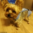 thumbnail image 2 of Barkertime White Polka Dot on Baby Blue Escape-Proof Washable Dog Diaper Overall - Made in USA, 2 of 11