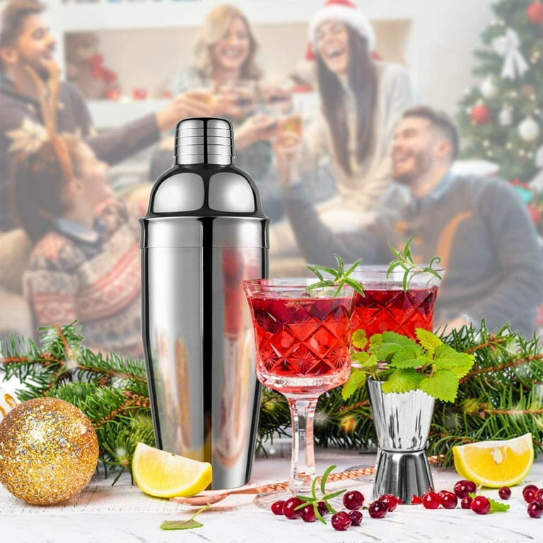 Delidge Cocktail Shaker 550 / 750M Martini Shaker Set Shakers Bartending  Stainless Steel Drink Shaker with Strainer and Lid Top, Bar Shaker  Gifts,550ml 