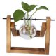 thumbnail image 3 of Terrario de Plantas Vintage Con Soporte de Madera, Florero de Vidrio para decoración de Oficina en Casa, 3 of 7
