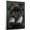 Affenpinscher, variant on Bolognese Dog Playing Boxing Stretched Canvas Size 8x12 – Sports Dog, Perfect for Animal Lovers, Bolognese Dog Canvas, Boxing Canvas Size Wall Art