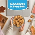 thumbnail image 5 of (2 pack) Kellogg's Frosted Mini-Wheats Pumpkin Pie Spice Breakfast Cereal Family Size Box, 20 oz, 5 of 14