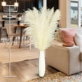 thumbnail image 5 of 10pcs 40'' Pampas Grass Tall Decor - Pompas Floral, Tall Pampas Grass for Floor Vases, Living Room Floor, Floor Plants, Plumas para, and Grass Wall Decor, 5 of 7