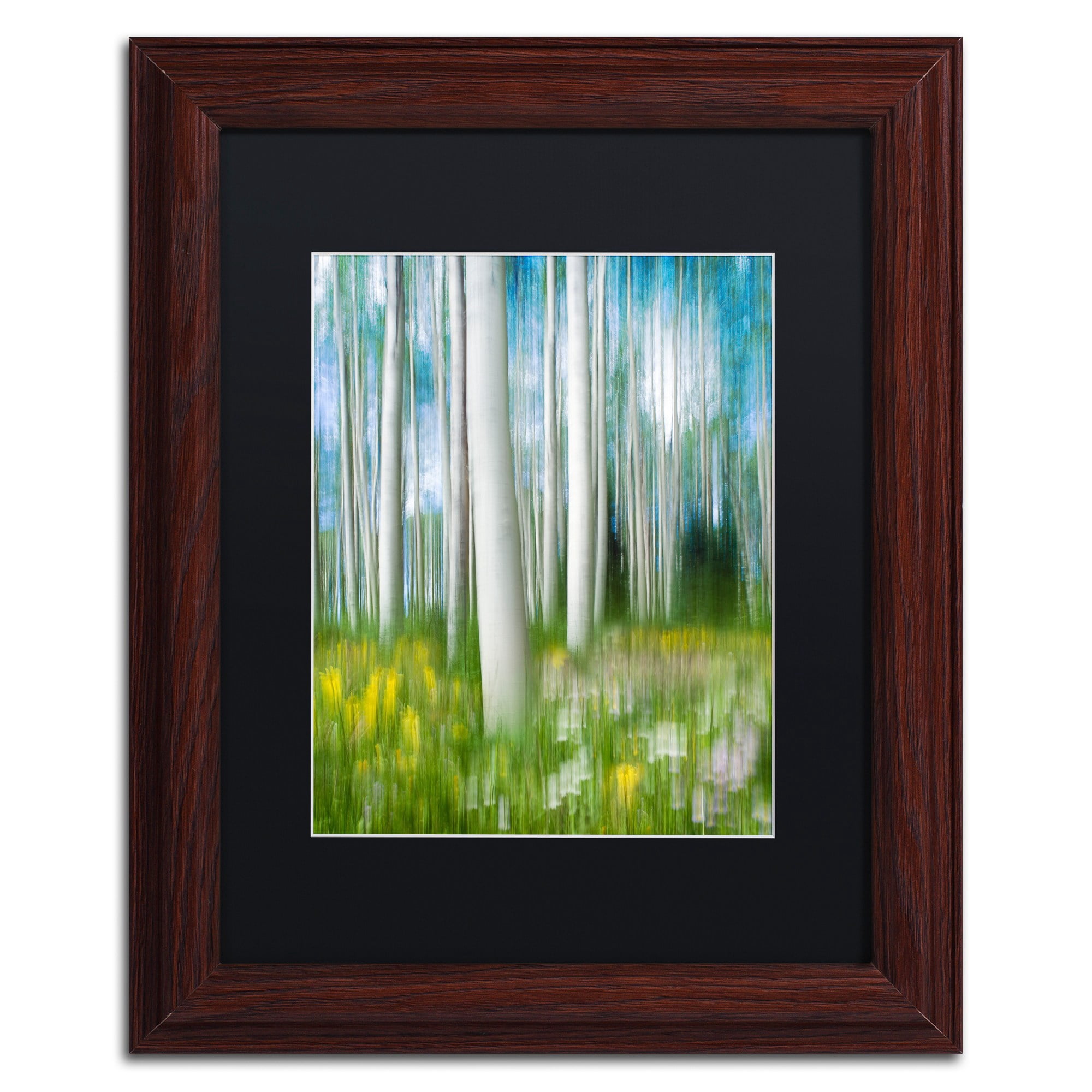 "Aspen Impression" Canvas Art by Michael Blanchette Photography Black Matte, Wood Frame