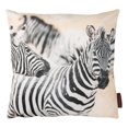 thumbnail image 1 of Gouchee Home SAFARI Zebra Cushion, 1 of 2