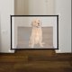 thumbnail image 1 of Barrières pour chiens, porte de porte pliable pour chien Magic Gate y garde d'escalier pour bébés, chiens et chats 110 cm x 72 cm Ormromra WLJ-2668, 1 of 5