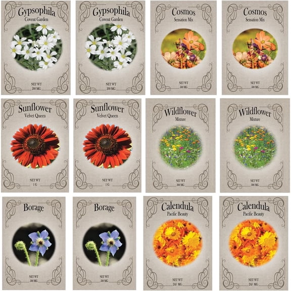 Pollinator & Cut Flower Seed Variety Pack – 12 Seed Packets