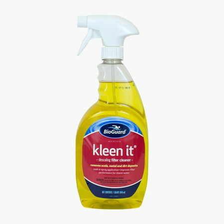 BioGuard Kleen-It Spray-On Filter Cleaner and Degreaser for Pools and