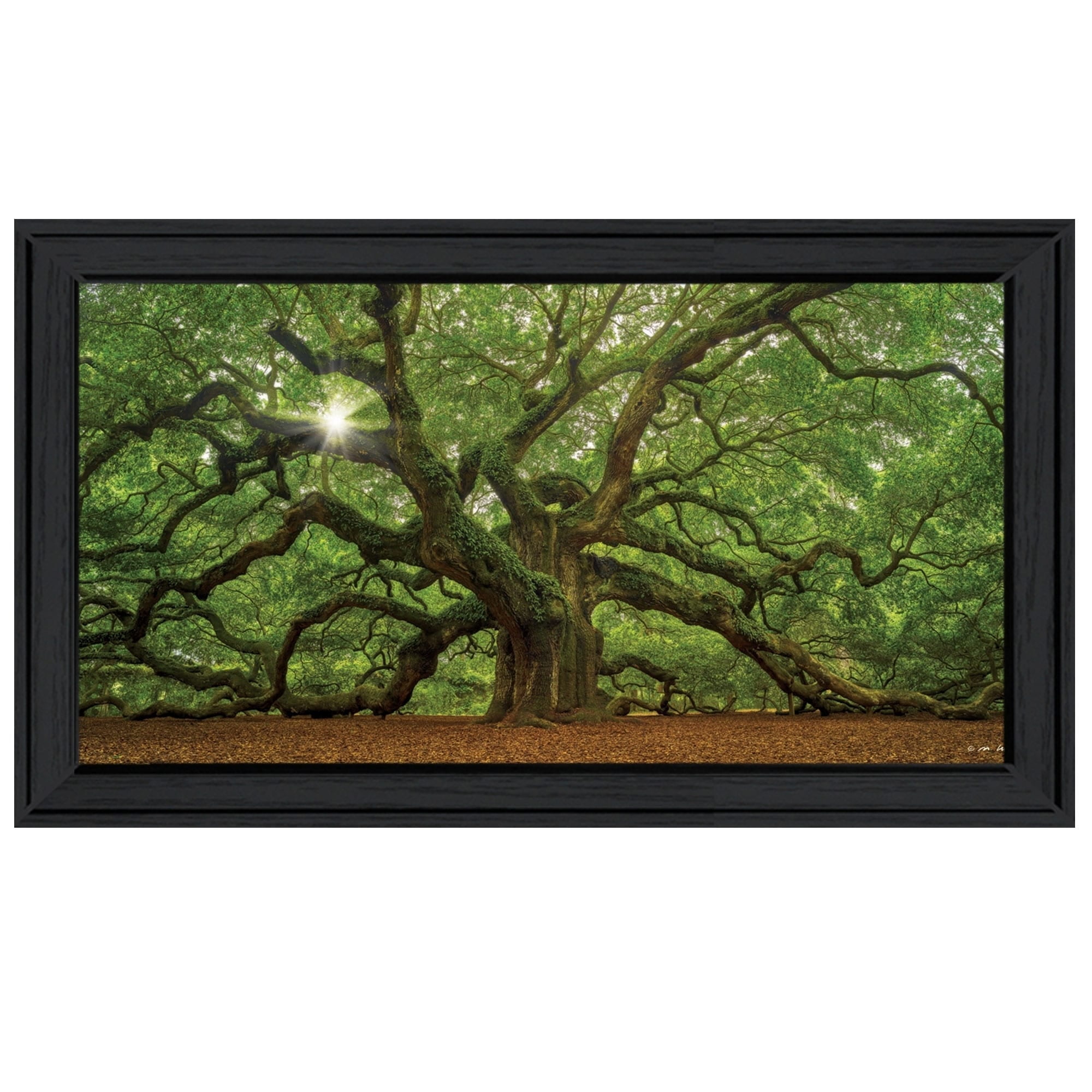 Trendy Decor 4u Mighty Tree By Moises Levy Ready To Hang Framed Print Black Frame Walmart Com Walmart Com