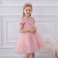 thumbnail image 1 of LSLJS Tulle Princess Robe de Demoiselle d'Honneur pour Fille, Fleurs, Robes de Fête de Mariage pour Tout-Petit et Bébé Fille, Robe en Tulle avec Nœud et Volants, 1 of 9