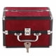 thumbnail image 1 of Estuche de Maquillaje, Caja de Transporte de Cosméticos, Caja Organizadora De Maquillaje, 4 Bandejas, Para Mujeres, Maquillador, Manualidades, Kit De Uñas (Vino Tinto Y Franja), 1 of 9