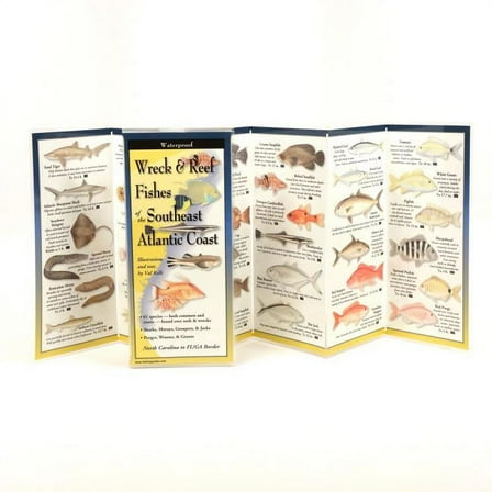 FoldingGuides: Wreck & Reef Fishes of the Se Atl. Cst. (Other)