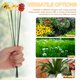 thumbnail image 3 of 20 piezas adornos de estaca para jardín, mariquita y abeja, palos decorativos para jardín, macetero decorativo, macetas, decoraciones, 3 of 4