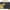 Various, variant on PowerA Protection Case for Nintendo Switch - OLED Model, Nintendo Switch or Nintendo Switch Lite - Pikachu 025