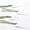 Green, variant on Place Cards with Ribbon 30 Pcs Blank Name for Wedding Table Setting 3.54 Inch