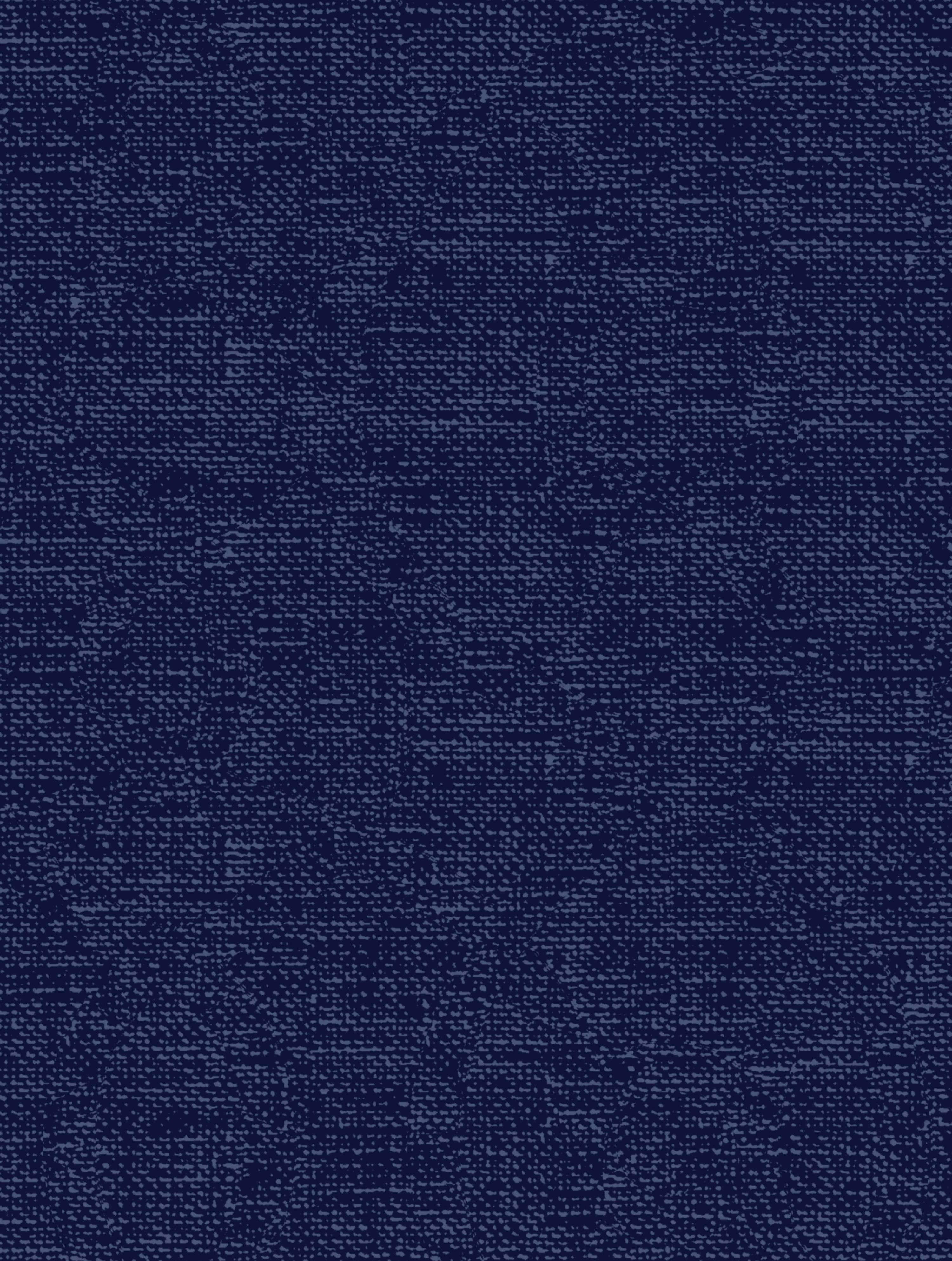 Mainstays Brand 15.5" x 17" Solid Navy Outdoor Seat Pad with Ties, Set of 2