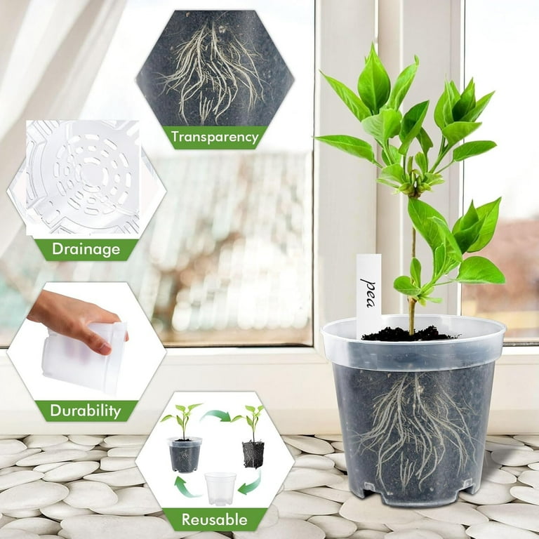 potting soil for succulents Succulents Potting Soil 100% Organic Special Research Based Formula fo –  Casa De Amor main image 0