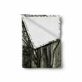 thumbnail image 2 of Black and White Soft Flannel Fleece Throw Blanket, Seine River Paris City France Snowy Winter in the Urban City Trees, Cozy Plush for Indoor and Outdoor Use, 60" x 80", Black White Grey, by Ambesonne, 2 of 6