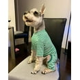thumbnail image 3 of Harikaji Pet Clothes, Dog Striped Four-Leg Jumpsuit Cotton Pajamas Breathable Comfy Shirt Costume for Puppy Small Dog (XL, Green), 3 of 5