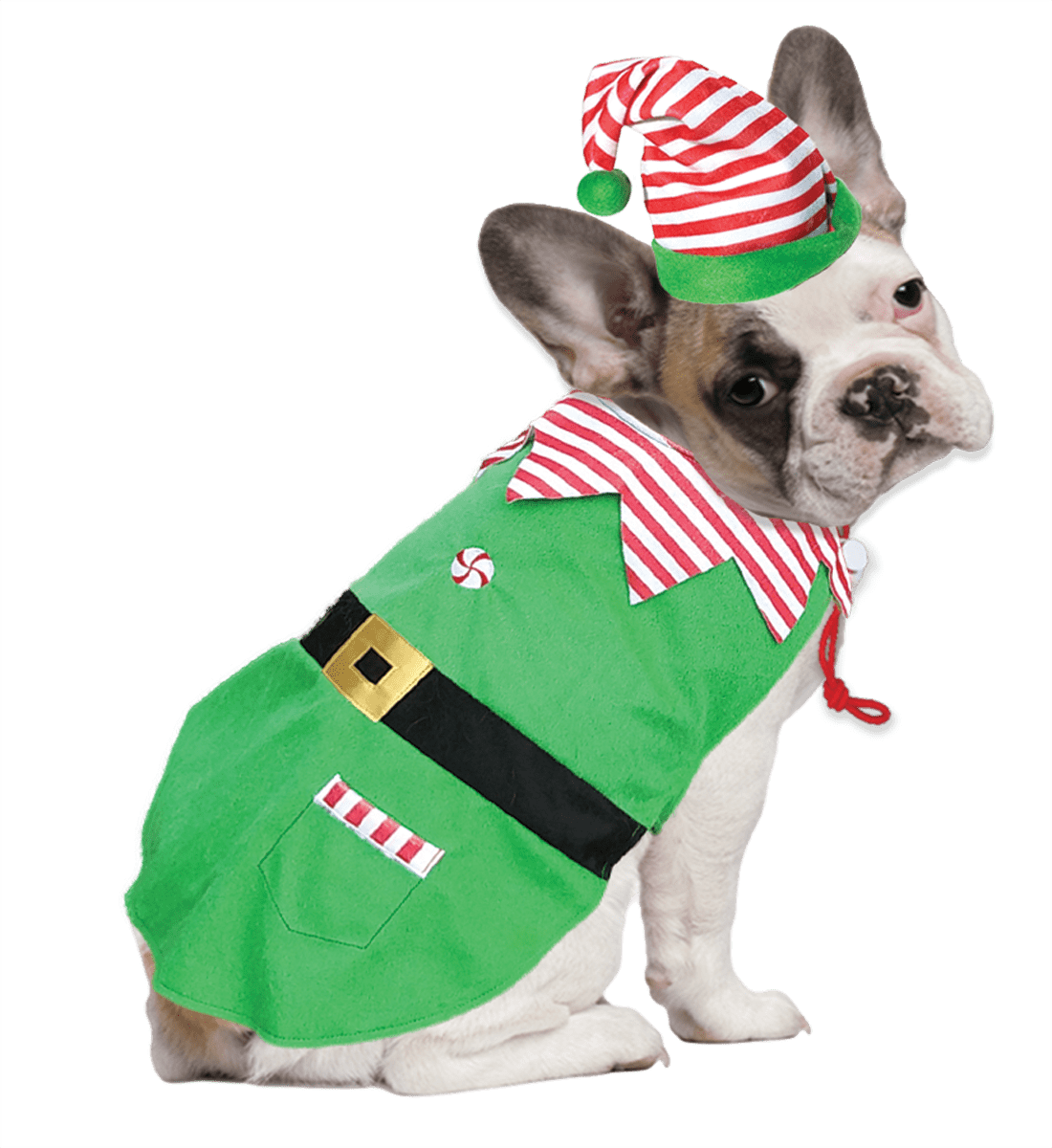 Holiday Time Dog Costume, Elf, Small