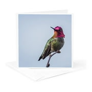 3dRose, Adult male Annas Hummingbird flashes his iridescent gorget., 1 Greeting Card with envelope