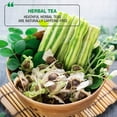 thumbnail image 4 of Tipson Organic Moringa Tea - 6 Assorted Flavors - 60 Foil Enveloped Double Chambered Bags - Antioxidant Superfood - Caffeine Free - NonGMO - Gluten Free, 4 of 7