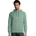thumbnail image 1 of Hanes Chandail à Capuchon en Molleton Teint en Pièce ComfortWash pour Hommes Grande Taille, TG, 1 of 1