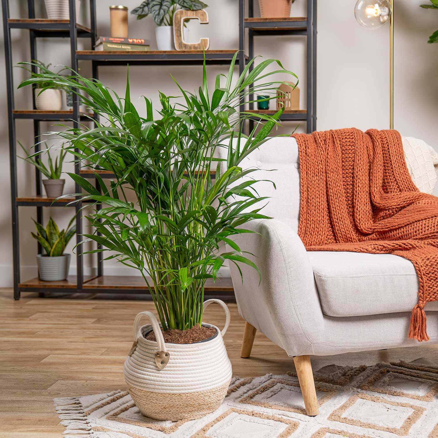 0ce511a3-80a5-4954-b8a6-