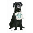 thumbnail image 2 of Fab Funky 20x32 White Modern Wood Framed Museum Art Print Titled - Love and Black Labrador, 2 of 4