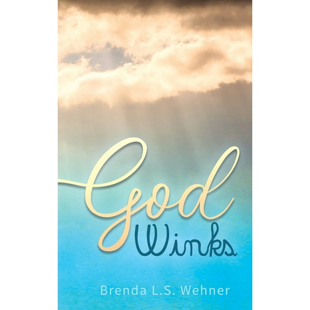 God Winks (Hardcover)