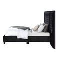 thumbnail image 3 of Damazy Queen Bed in Black Velvet, 3 of 5