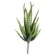 thumbnail image 1 of Planta de plástico Aloe Kearding 12 cm, 1 of 6