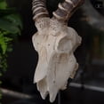 thumbnail image 4 of Ormere Polyresin Goat Head Decor, 4 of 7