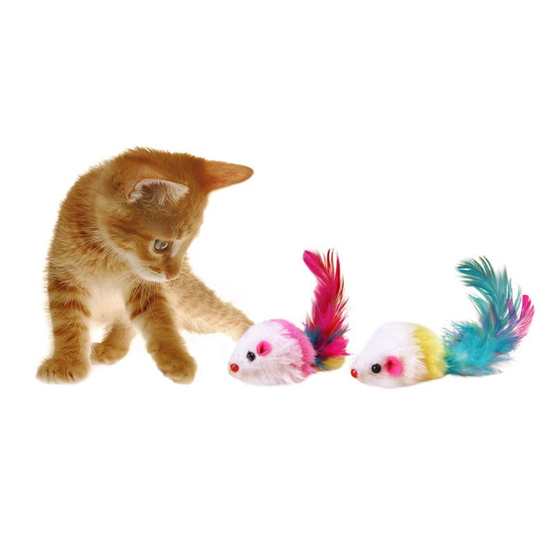5 Pcs Pet Cat Interesting Exercise Toys for Solving Boredom Kittens
