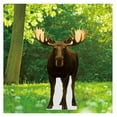 thumbnail image 5 of Life Size Cardboard Cutout Standup | Waterproof | Animals - lifesize (), 5 of 5