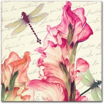 Trademark Fine Art "Dragonfly Morning I" Canvas Art by Color Bakery
