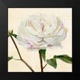 thumbnail image 2 of Warren, Annie 12x12 Black Modern Framed Museum Art Print Titled - Peony in Bloom I, 2 of 5