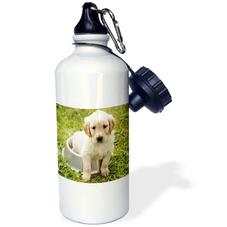 3dRose Image of Golden Retriever Puppy Straw Water Bottle 21 ounce Walmart