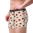 thumbnail image 2 of Susaid Ladybug With Mushroom Print Men's Mesh Boxer Briefs Cooling Breathable Sports Underwear Wide Waistband Boxer Briefs W/Fly-X-Large, 2 of 5