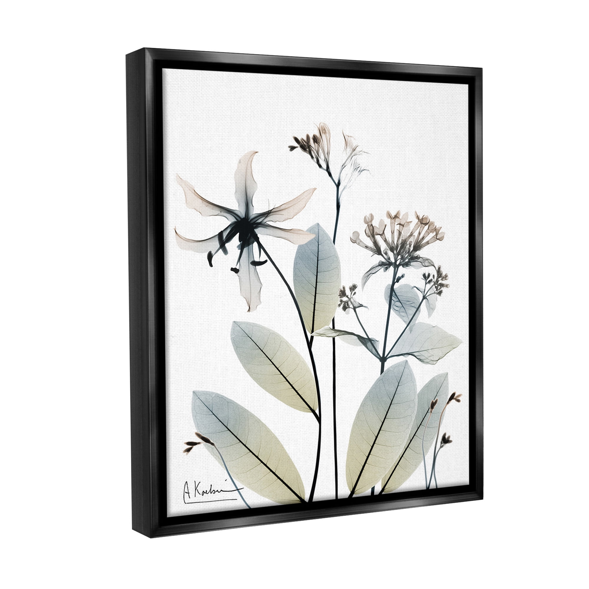 Stupell Industries Minimal Plant Blossoms Botanical & Floral Photography Black Floater Framed Canvas Art Print Wall Art, 17 x 21