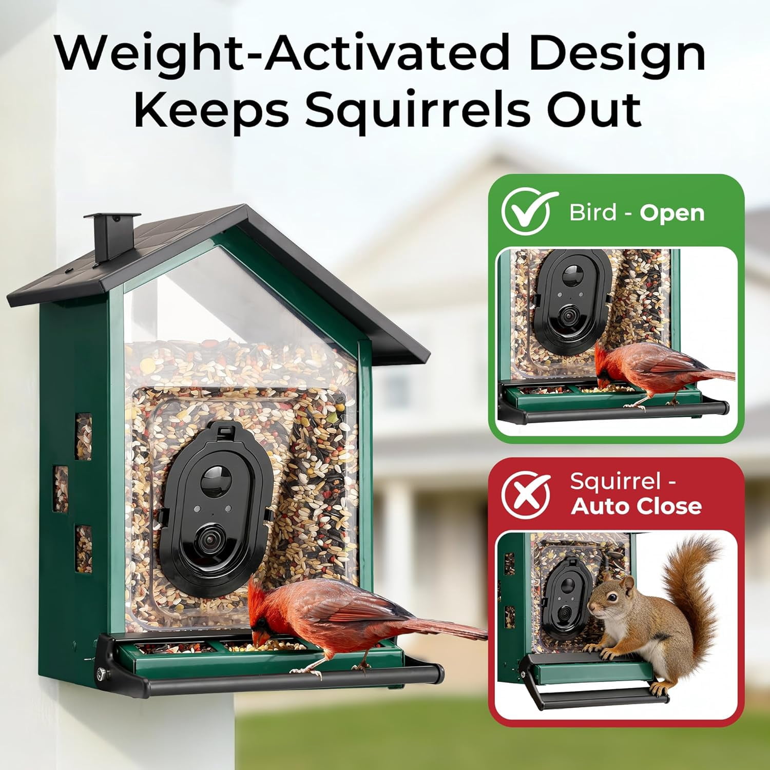 TT Nature Smart Bird Feeder with Camera, Solar Powered Squirrel Proof Outdoor Bird Watching, AI Species Identification, 3.2L, Green