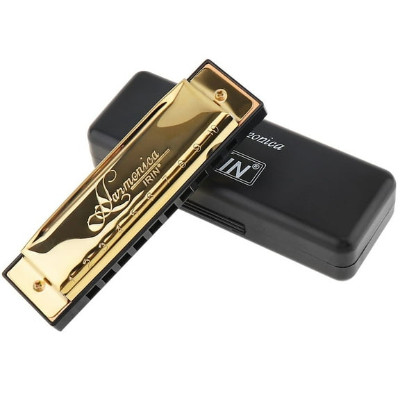 Key C 10 Hole 20 Tone Blues Harmonica for Professional Player Beginner with Case, Stainless Steel Mouth Organ