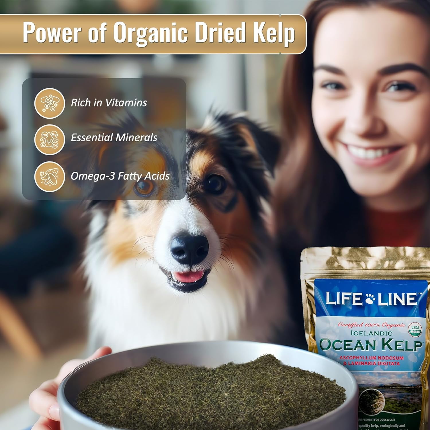 Organic Ocean Kelp Supplement for Pets – 1.5 LB – For Dogs & Cats – Promotes Healthy Skin, Coat & Immune Support – Rich in Natural Minerals & Omega-3