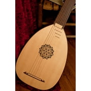 Roosebeck Deluxe 7-Course Lute Sheesham