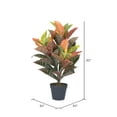 thumbnail image 3 of Vickerman 30" Artificial Croton Real Touch Potted Plant., 3 of 6