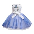 thumbnail image 4 of XZNGL Robe de Princesse Sans Manches en Dentelle pour Tout-Petit Fille, Robe de Fête, Vêtements de Cosplay, 4 of 9