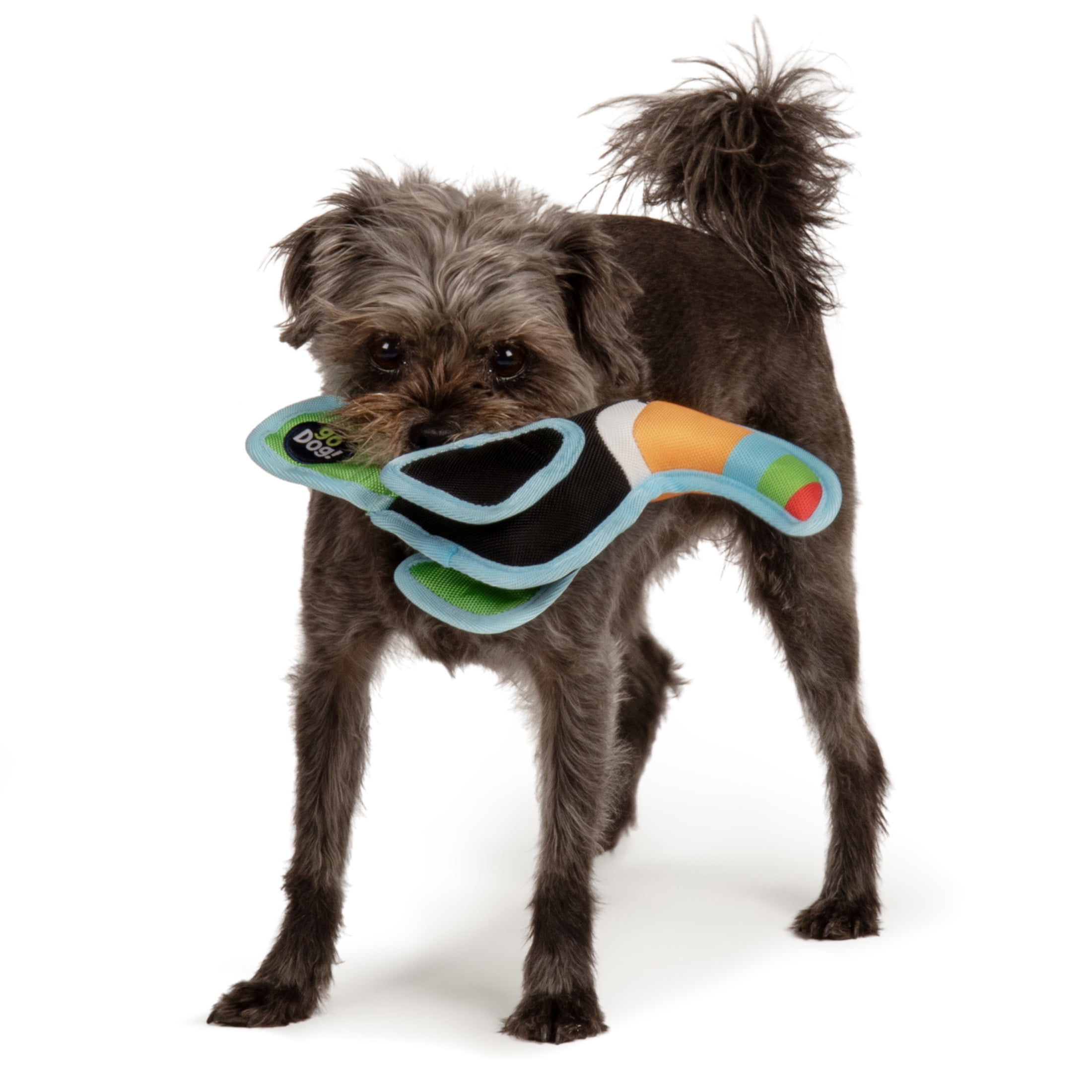 goDog Flap 'N Fun Tico Toucan Squeaky Dog Toy, Plush with Chew Guard Technology, Black, Large