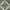 Dark Green/Ivory, variant on SAFAVIEH Adirondack Lecia Geometric Area Rug, Ivory/Light Blue, 2'6" x 4'